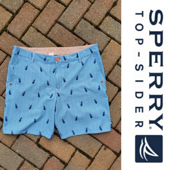 Sperry Other - Sperry Pineapples Men's Shorts